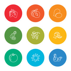 Sticker - outline stroke peanut, rambutan, tomato, lemon, parsley, pineapple, mango, peach, strawberry, vector line icons set on rounded colorful shapes