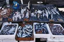 Fish In The Street Market Of The City Of Rhodes Greece