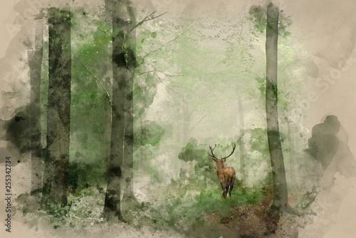 beautiful-image-of-red-deer-stag-in-foggy-autumn-colorful-forest-landscape-image