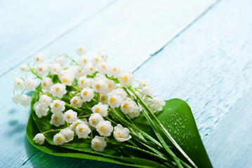 Wall Mural - lily of the valley flowers bunch on blue painted wood table background