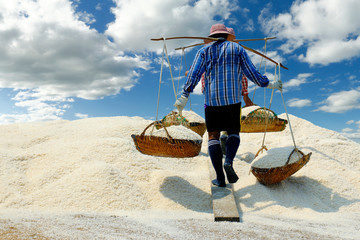 Wall Mural - worker harvesting salt  in salt field