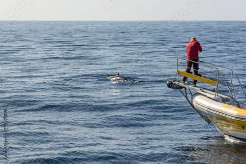 Fotografía Marine biologist doing research and photographing whales.
