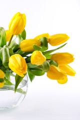 Wall Mural - A bouquet of yellow tulip flowers in glass vase on white background. A gift to a woman's day. Copy space.