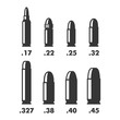 Weapon Bullets Sizes, Calibers, and Types Chart on White Background. Vector