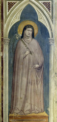 Wall Mural - Saint Clare of Assisi holding a lily, fresco by Giotto di Bondone in Basilica di Santa Croce (Basilica of the Holy Cross) - famous Franciscan church in Florence, Italy