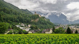 Fototapeta  - View from the vineyards of the Prince to the castle of Vaduz, Liechtenstein.