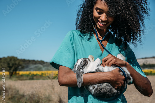Fototapeta na szkło Veterinarian examining a bunny in a hay field