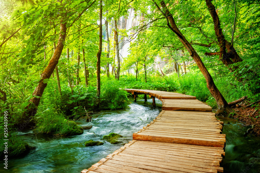 Beautiful wooden path trail for nature trekking with lakes and waterfall landscape in Plitvice Lakes National Park, UNESCO natural world heritage and famous travel destination of Croatia. - obrazy, fototapety, plakaty 