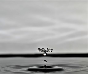 Water Drop Photography