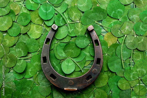 horse shoe on green clovers background. St. Patrick's day Tableau sur Toile