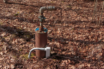 Abandoned water wellhead