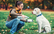 Young woman with a dog in the park. Pets and animals concept