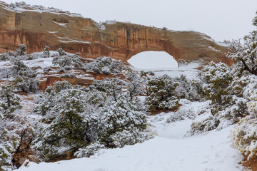 Canvas Print - Wilson's Arch Moab Utah in Winter