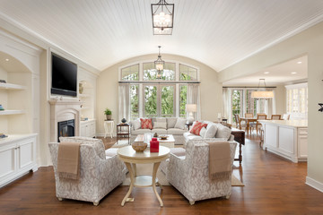 elegant living room in new luxury home with hardwood floors, fireplace, tv, and furniture