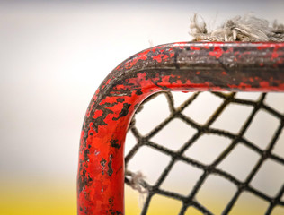 Hockey Net