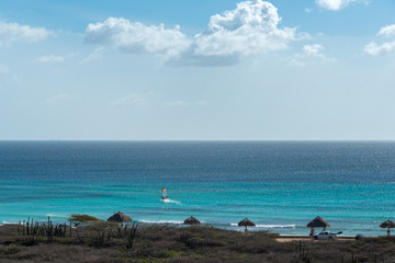 Wall Mural - Beach in Aruba with typical vegetation of the island where they are practicing windsurfing.