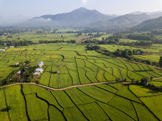 Fields in Nan Thailand nature outdoor landscape at Tanong homestay in Thailand