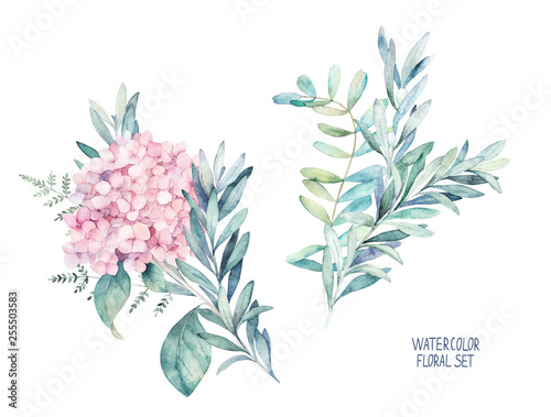 Watercolor greenery set. Hand drawn winter illustration with eucalyptus branc...