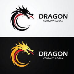 Wall Mural - Dragon logo vector