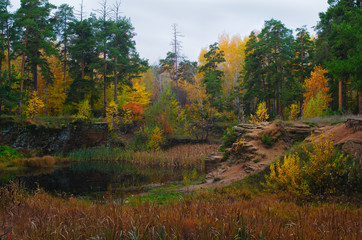 Bright colors of autumn