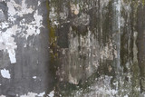 Fototapeta Desenie - Old grunge textures backgrounds. Perfect background with space.