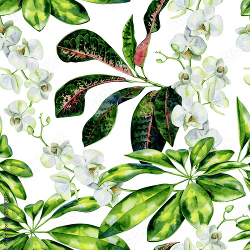 Watercolor seamless tropical pattern of schefflera, croton and white orchids ...