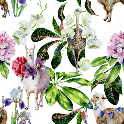 Watercolor seamless pattern of  cartoon alpaca, cute llama and ostrich with o...