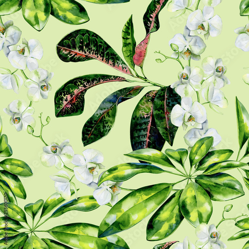Watercolor seamless tropical pattern of schefflera, croton and white orchids ...