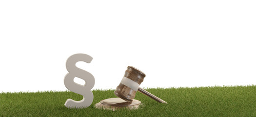 paragraph gavel and green grass isolated. 3d-illustration