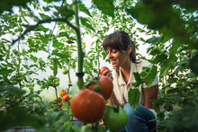 Female Farmer Enjoying While Working In Greenhouse