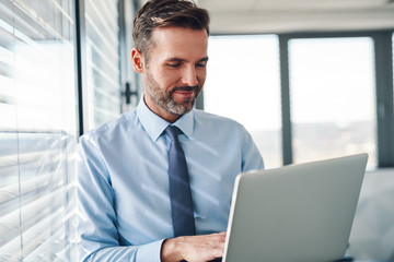 Sticker - Handsome businessman in modern office looking on laptop computer