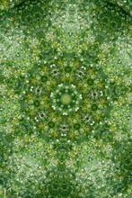 Abstract Greenery Background, Green Leaves With Kaleidoscope Effect