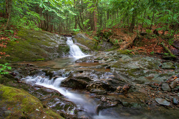  Hidden waterfalls in the forest