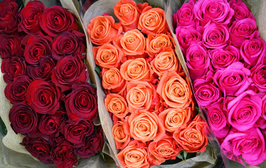 Fotomurales - bouquets of rose flowers with different color