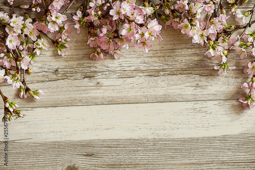 Sakura And Wood Grain Background Material Illustration 桜と木目の背景素材 イラスト Stock Illustration Adobe Stock Sakura And Wood Grain Background Material Illustration 桜と木目の背景素材 イラスト Stock Illustration Adobe Stock