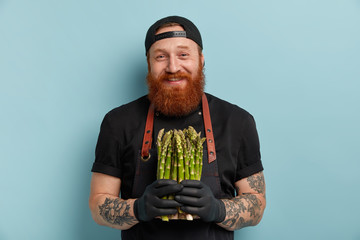 People and healthy nutrition concept. Cheerful foxy bearded man holds bunch of asparagus, wears black cap and gloves, cooks for vegeterian visitors, stands against blue background. Male with plant