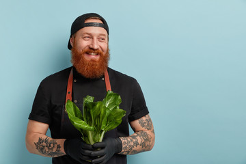 Wall Mural - Studio shot of glad bearded man cook happy to buy green salad, prepares dietary dishes for visitor of restaurant, has tattoed arms, wears black cap and apron, stands over blue wall with free space