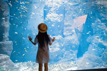 Woman Near Big Aquarium With Fishes
