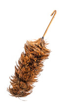 Feather Duster Isolated On White Background