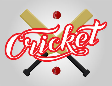 Hand drawn Cricket lettering text on grey background with cricket ball and bat, vector illustration. Calligraphy. Sport, fitness, activity vector design. Print for logo, competition, T-shirt and caps.