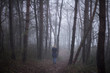 © santiago silver - woman walking alone in dark scary forest