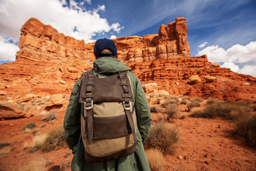Wall Mural - Hiker in Valley of Gods, USA