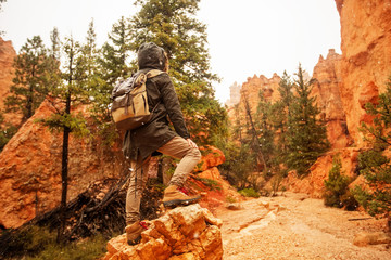 Poster - Hiker visits Bryce canyon National park in Utah, USA