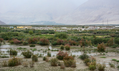 Wall Mural - Mountainscape of Ladakh, North of India