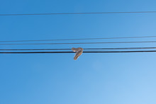 Abstract Image Of Shoe Sneakers Hanging From Outdoor Power Line. Outside Electrical Cord With Hanging Tennis Baseball Basketball Sneakers. 