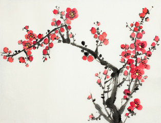 Fototapeta plum blossom branch