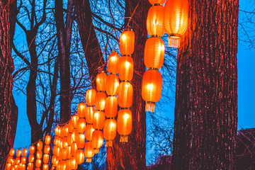 Wall Mural - Tapes on trees in the park from the Chinese orange small lamps. The lit street at night. Lighting.