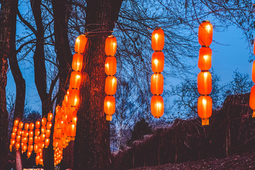 Wall Mural - Tapes on trees in the park from the Chinese orange small lamps. The lit street at night. Lighting.