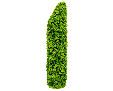 Letter I Parsley alphabet