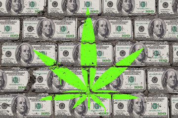 Painted cannabis leaf on wall of dollars. Hemp business art concept.